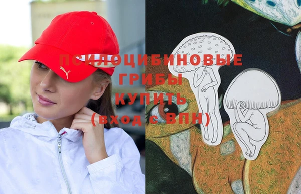 a pvp Заволжье