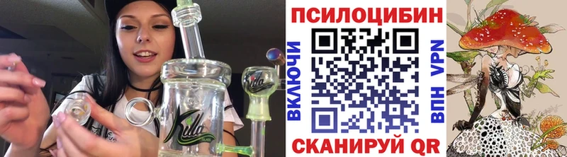 наркота  Каменск-Шахтинский  Псилоцибиновые грибы Cubensis 