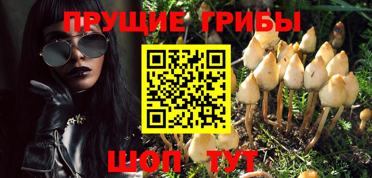 Галлюциногенные грибы GOLDEN TEACHER  Псилоцибиновые грибы мицелий  Вход с VPN  Каменск-Шахтинский 