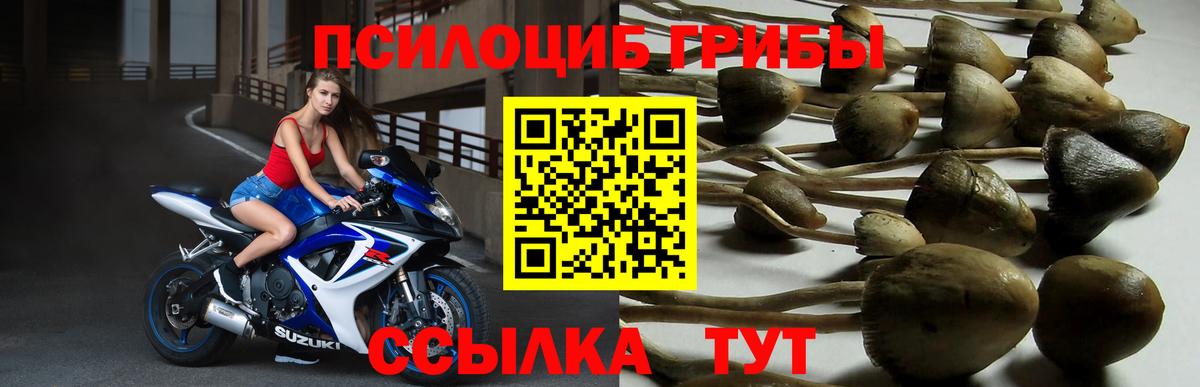 Псилоцибиновые грибы прущие грибы Каменск-Шахтинский
